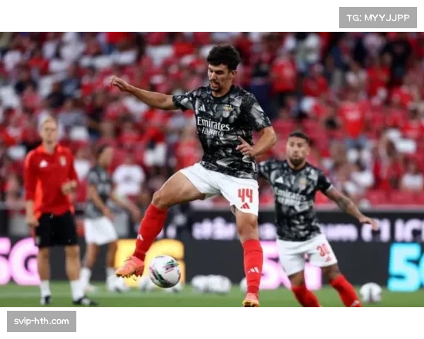 本菲卡托马斯阿劳霍回归 后防线经验得到补充加强 本菲卡托马斯阿劳霍回归 后防线经验得到补充加强